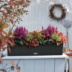 LECHUZA Plantenbak BALCONERA Cottage 80 ALL-IN-ONE granietkleurig