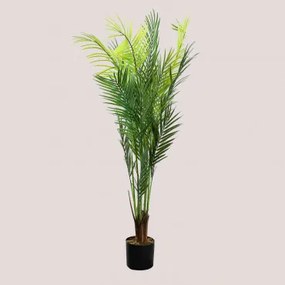 Decoratieve kunstplant palmera Pigmea Style 110 cm ↑110 cm - Sklum