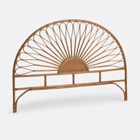 Rotan hoofdbord, TIO