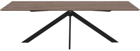 Goossens Excellent Eettafel Ferris Piramide Poot, Rechthoekig 260 x 100 cm