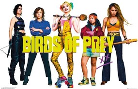 Poster Birds of Prey: And the Fantabulous Emancipation of One Harley Quinn - Group, (91.5 x 61 cm)