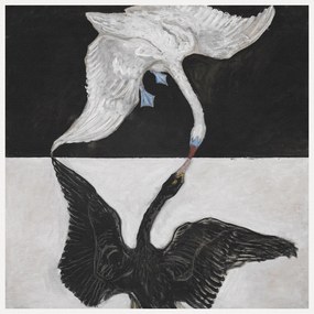 Kunstreproductie The Swan No.1 (Black & White) - Hilma af Klint, (40 x 40 cm)