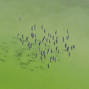 Foto Lake Eyre Aerial Image, Ignacio Palacios, (40 x 40 cm)