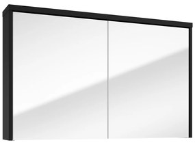 Fontana Basic spiegelkast 100cm met 2 deuren zwart mat
