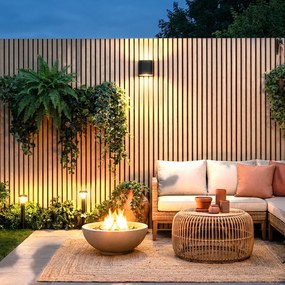 Buitenpanel Berk 290cm | Gevelbekleding | Tuin | 3D Houtnerf