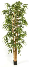 Kunst Bamboe New Giant - 270 cm