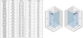 Riho Scandic X203 douchecabine links 100x90cm chroom