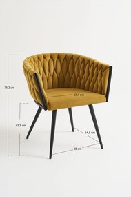 Widny Zwart Fluwelen Stoel