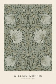 Kunstreproductie Pimpernel (Special Edition Classic Vintage Pattern) - William Morris