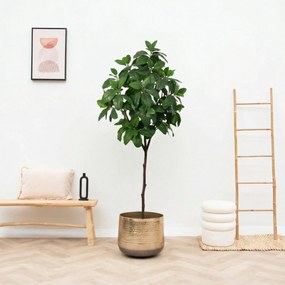 Kunst Magnolia - 190cm