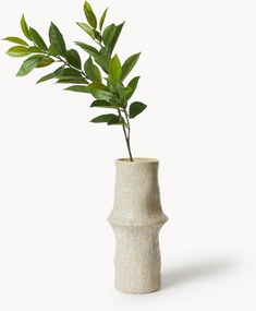 Kunsttak Ruscus