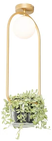 Art Deco plafondlamp goud met wit glas - Isabella Art Deco, Design G9 ovaal Binnenverlichting Lamp