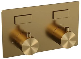 BRAUER Gold Edition - 2 functies - inbouwthermostaat - met inbouwdeel - drukknoppen - in/afbouwdelen - goud geborsteld PVD 5-GG-155