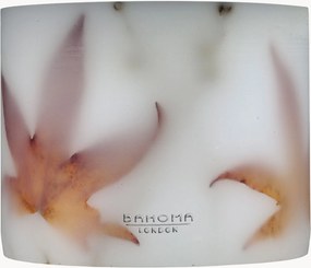 Handgemaakte geurkaars Botanical (kaneel & peperkorrel)
