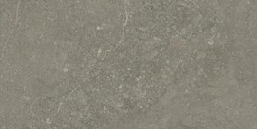 Jabo Munich Taupe wandtegel 30x60cm gerectificeerd