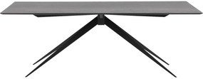 Goossens Excellent Eettafel Uniek, Rechthoekig 220 x 100 cm