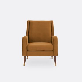 Fauteuil in fluweel, (Y)