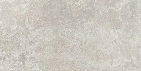 Valence Panillo vloertegel 60x120cm grijs gerectificeerd