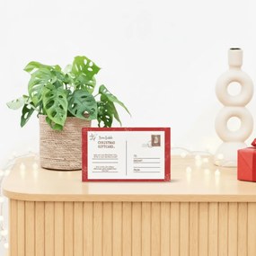 Monstera Monkey leaf inclusief mand Scott + kerst cadeaubon 20 euro