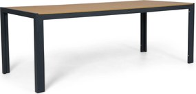 Dining Tuintafel rechthoekig 210x90 cm Grijs Creta