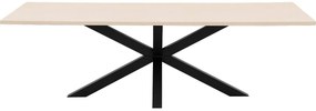 Goossens Eettafel Stone, Rechthoekig 250 x 110 cm