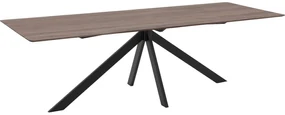 Goossens Excellent Eettafel Ferris Piramide Poot, Rechthoekig 260 x 100 cm