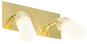 Moderne badkamer Spot / Opbouwspot / Plafondspot messing 2-lichts IP44 - Japie Modern G9 IP44 Lamp