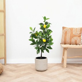 Kunst Citroenboom - 65cm