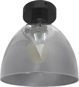 Hangende plafondlamp APP1303-1C Black