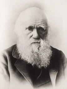Foto Charles Darwin, English School,