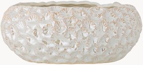Decoratieve schaal Lowen van keramiek