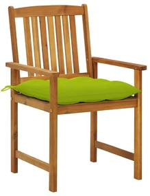 vidaXL Tuinstoelen 2 st met kussens massief acaciahout