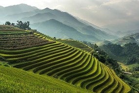 Kunstfotografie Rice fields on terraced of Mu, wiratgasem, (40 x 26.7 cm)