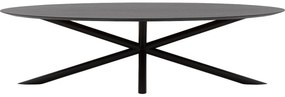 Goossens Excellent Eettafel Gs-1302, Ovaal 280 x 130 cm