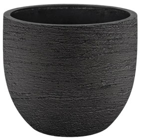 Combideal - Alocasia Portodora inclusief zelfwaterende pot Joy L - 160cm