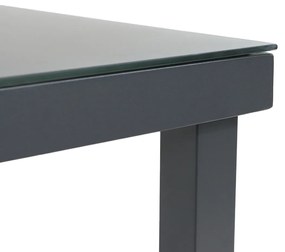 Dining Tuintafel   220 x 90 cm Aluminium/HPL Grijs  Porto