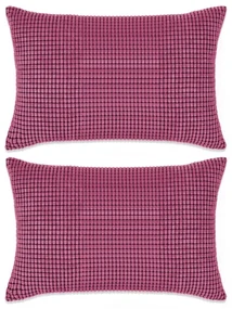 vidaXL Sierkussenset 40x60 cm velours roze 2-delig