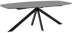 Goossens Excellent Eettafel Floyd, Semi ovaal 220 x 120 cm