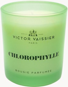 Geurkaars Chlorophylle (tulp, vetiver & freesia)
