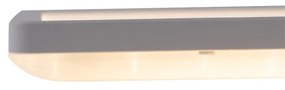 Modern LED paneel wit 58x20 cm incl. LED dim to warm - Billie Modern Binnenverlichting Lamp