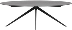 Goossens Excellent Eettafel Uniek, Ovaal 220 x 120 cm