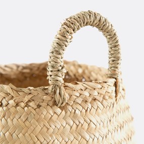 Bolvormige mand in herbarium, Rixy