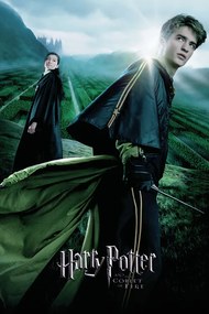 Kunstafdruk Harry Potter and the Goblet of Fire - Cedric