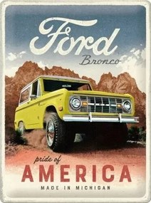 Metalen wandbord Ford - Bronco - Pride of America, (30 x 40 cm)