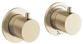 Crosswater MPRO Module Douchekraan - 2 functies - messing geborsteld PROMODDIVLBPF