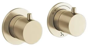 Crosswater MPRO Module Douchekraan - 2 functies - messing geborsteld PROMODDIVLBPF