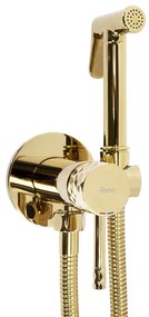 Inbouw Bidetmengkraan Rea Lungo Loop Diamond Gold