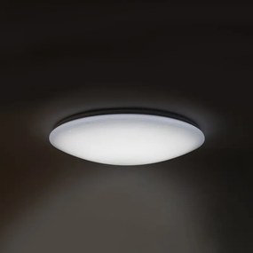 LED plafondlamp 60cm stereffect met afstandsbediening - Extrema Modern rond Binnenverlichting Lamp