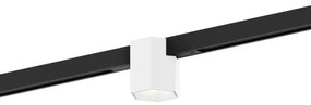 Wever&amp;Ducre -  Railverlichting Hexo Zwart / Wit / Wit Modern