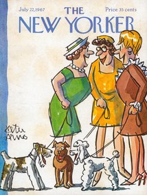 Ilustratie The NY Magazine Cover 20